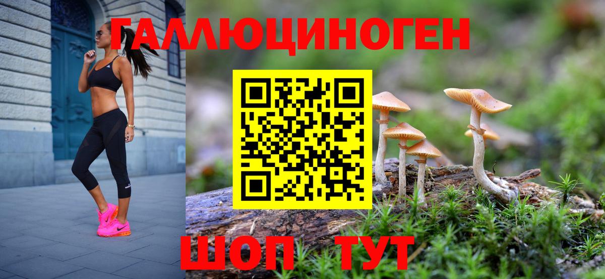 наркотики  Псилоцибиновые грибы Magic Shrooms  Вход с VPN  Тула 